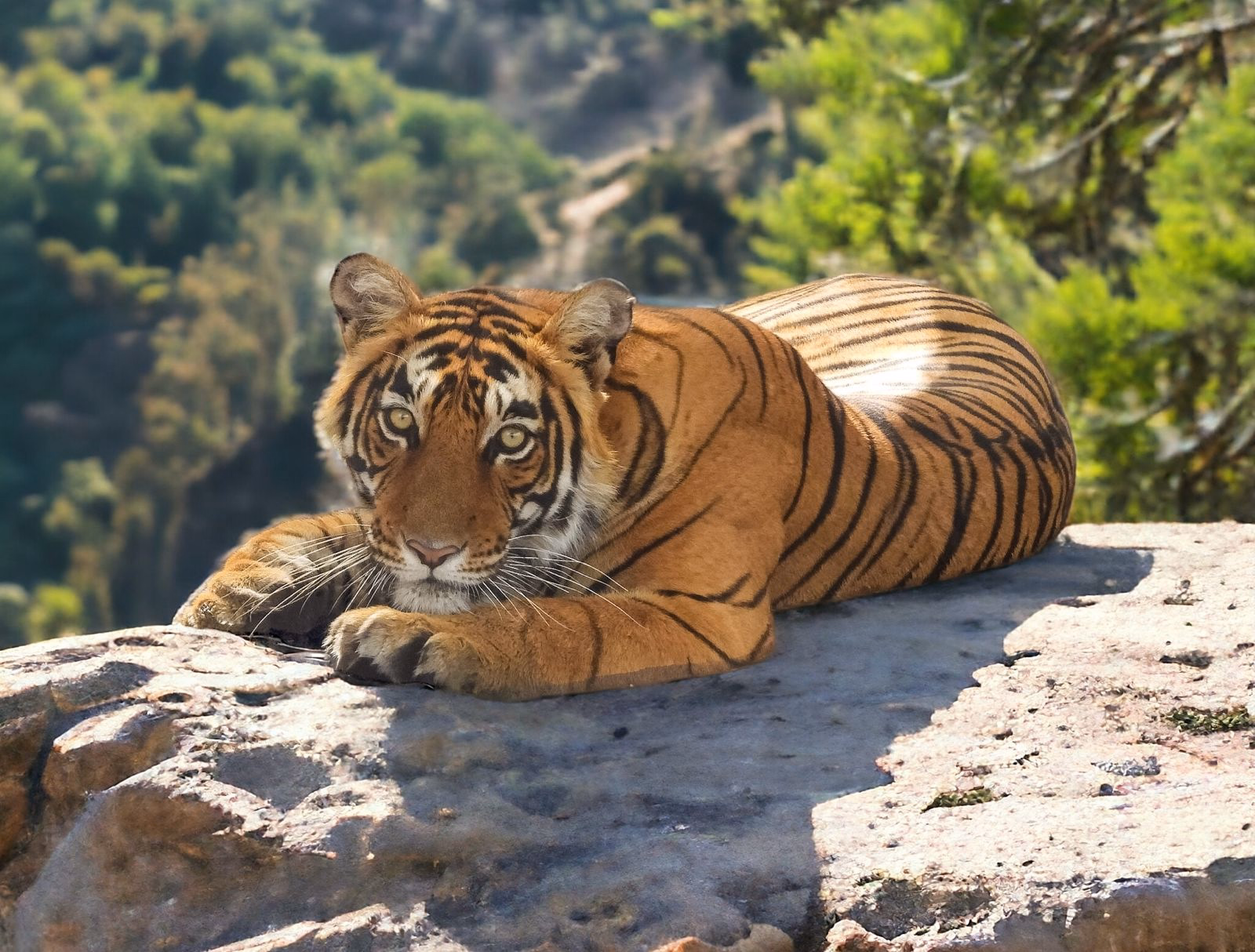 Sundarbans National Park